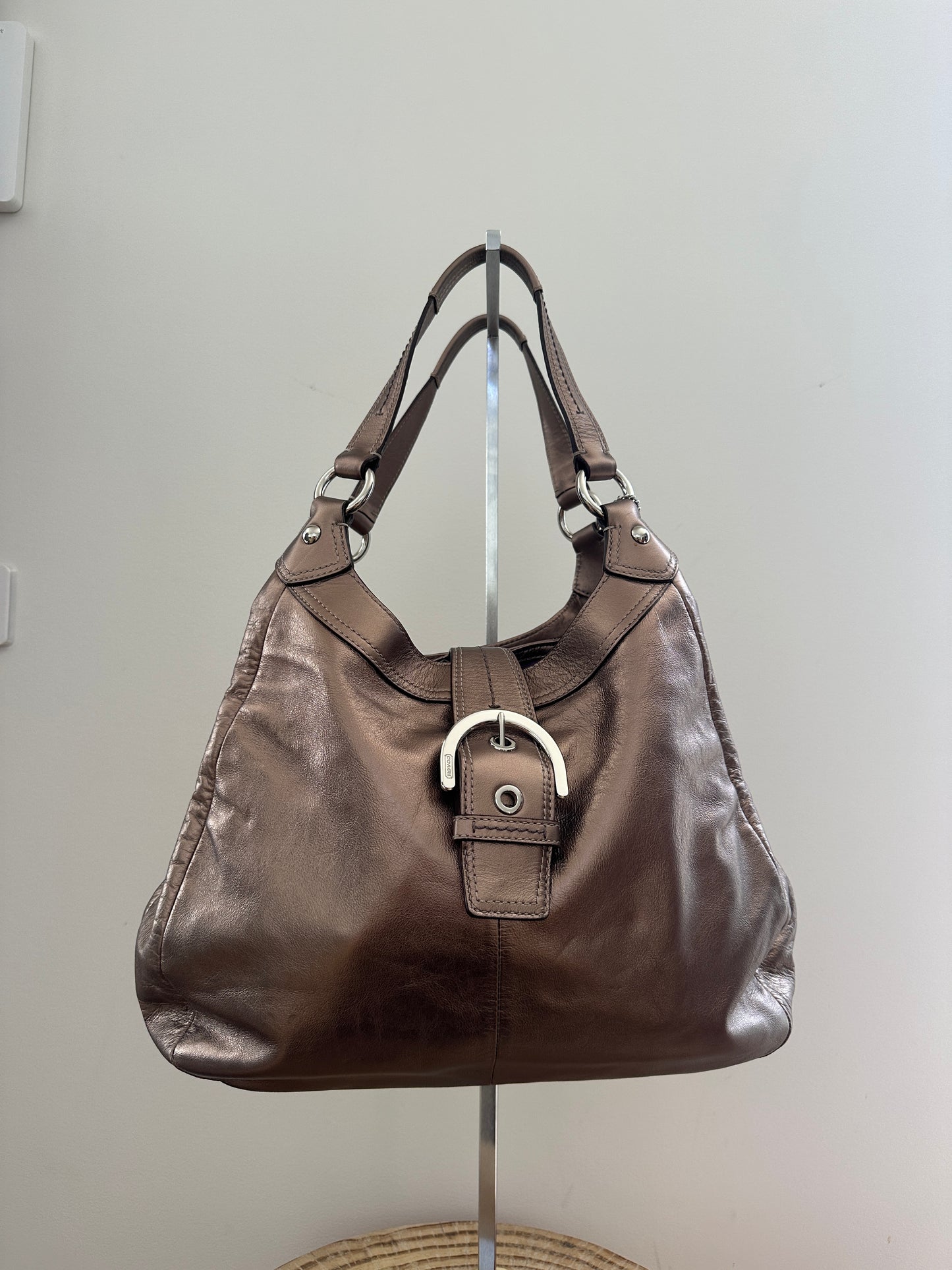 Coach Soho Lyn Hobo Bag