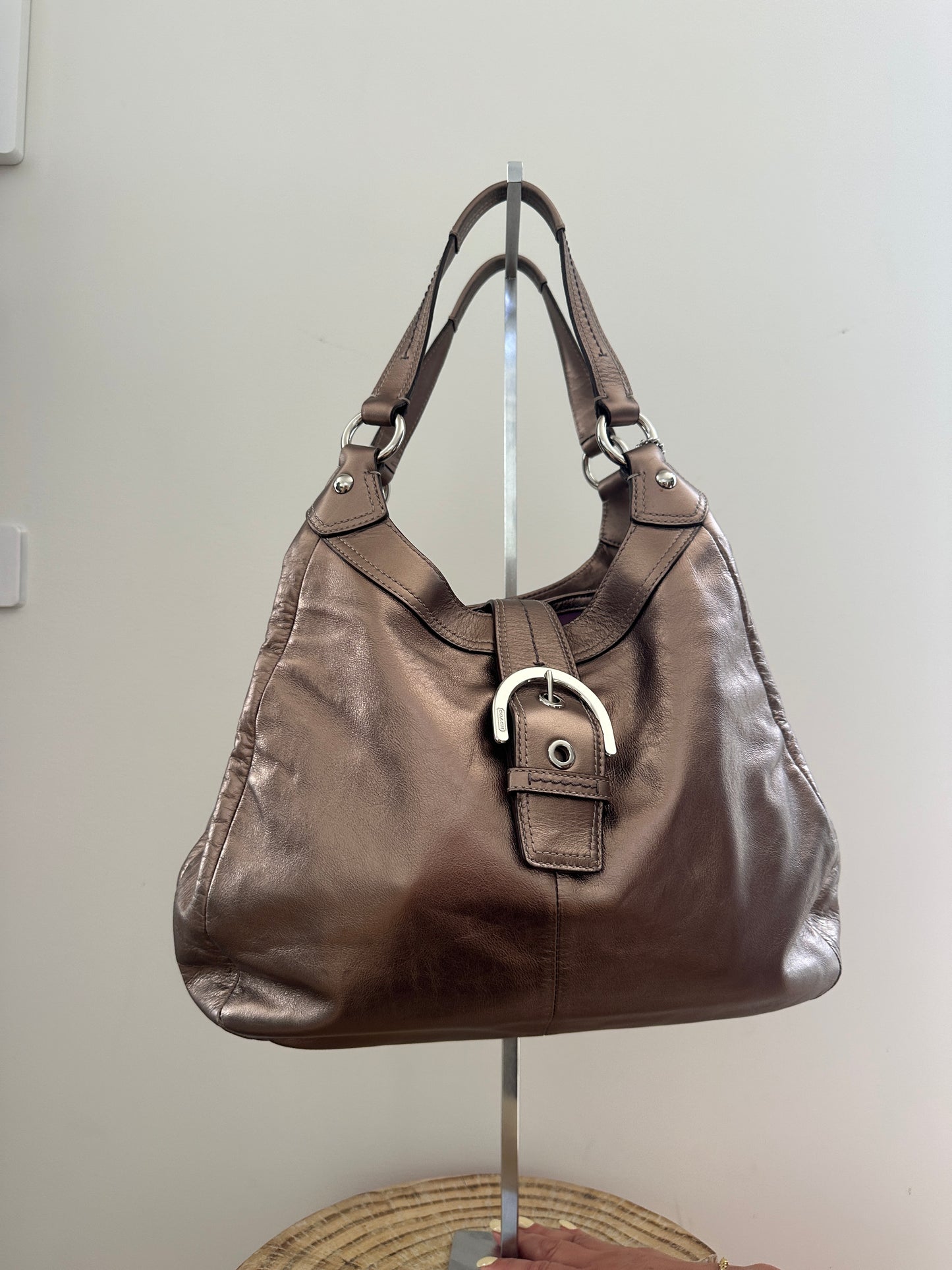 Coach Soho Lyn Hobo Bag